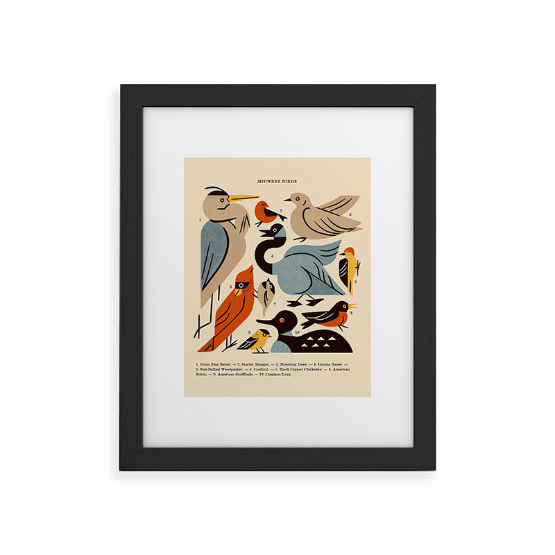 Midwest Birds Guide Framed Art Print Gallery Image 45