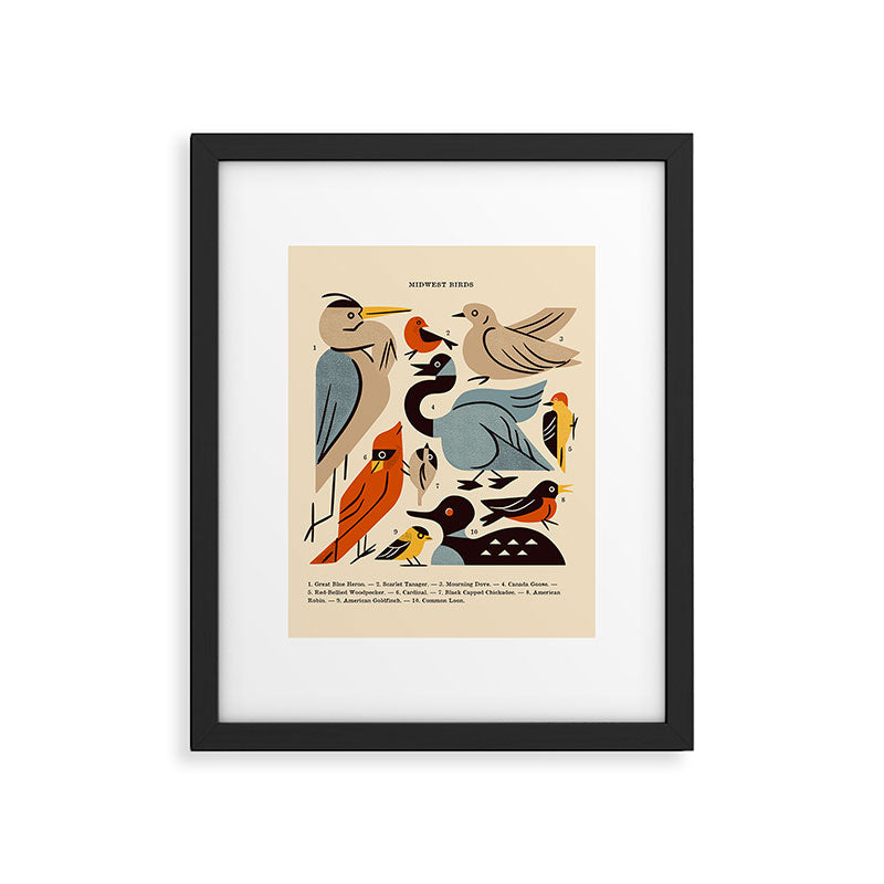 Midwest Birds Guide Framed Art Print Gallery Image 3