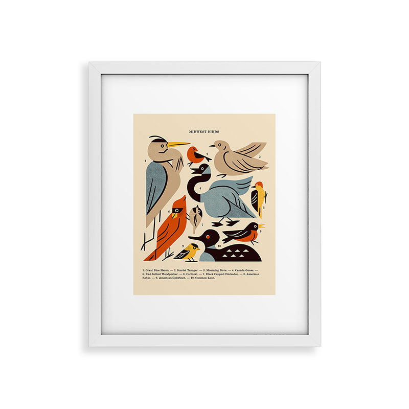 Midwest Birds Guide Framed Art Print Gallery Image 34