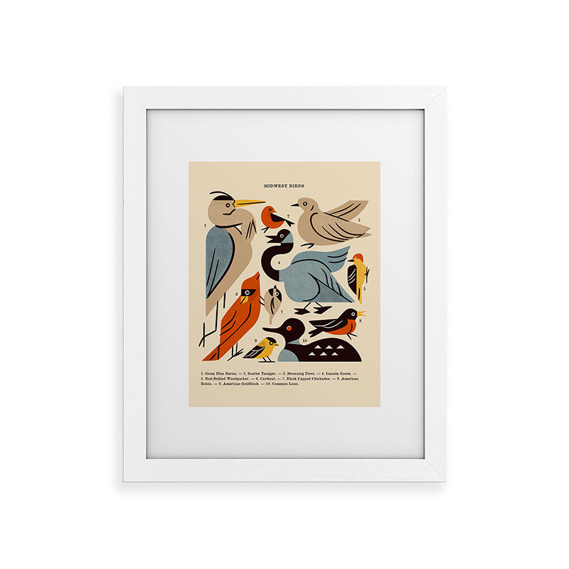 Midwest Birds Guide Framed Art Print Gallery Image 69
