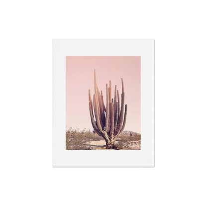Blush Cactus Art Print Gallery Image 5