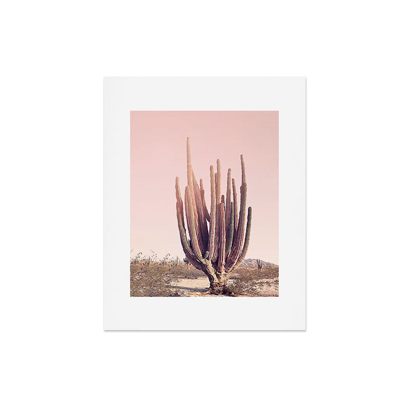 Blush Cactus Art Print Gallery Image 4