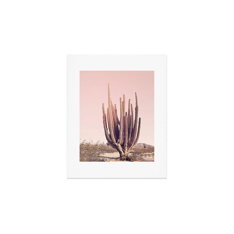 Blush Cactus Art Print Gallery Image 1