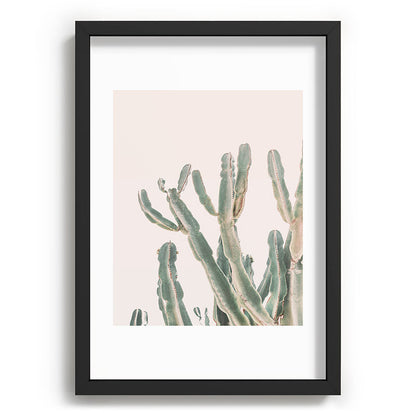 Sunrise Cactus Framed Art Print Gallery Image 59