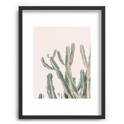 Sunrise Cactus Framed Art Print Gallery Image 61