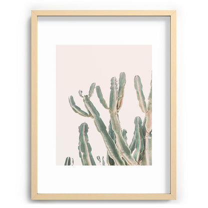 Sunrise Cactus Framed Art Print Gallery Image 73