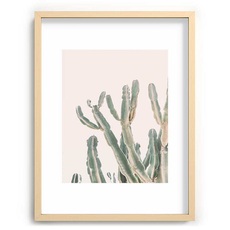 Sunrise Cactus Framed Art Print Gallery Image 72