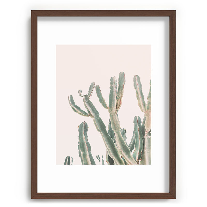 Sunrise Cactus Framed Art Print Gallery Image 67
