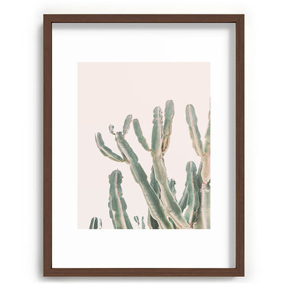 Sunrise Cactus Framed Art Print Gallery Image 67
