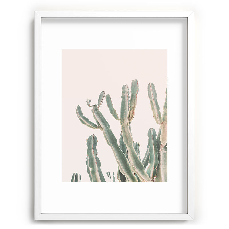 Sunrise Cactus Framed Art Print Gallery Image 78