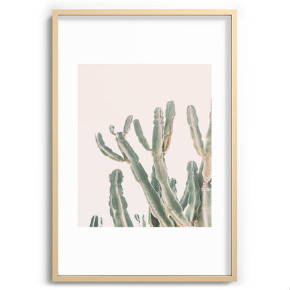Sunrise Cactus Framed Art Print Gallery Image 74