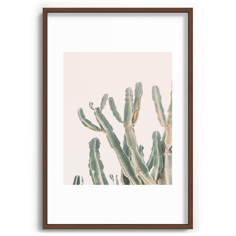 Sunrise Cactus Framed Art Print Gallery Image 68