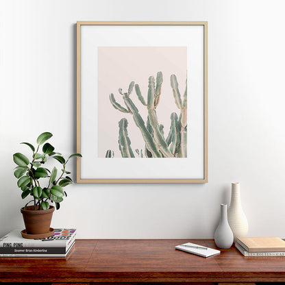 Sunrise Cactus Framed Art Print Gallery Image 21