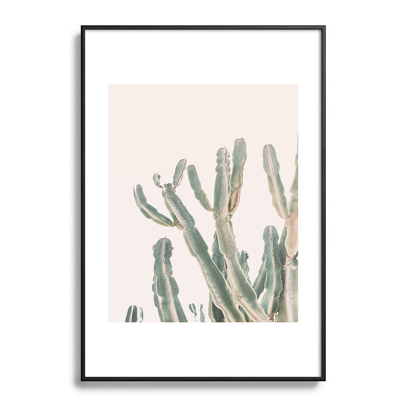 Sunrise Cactus Framed Art Print Gallery Image 83
