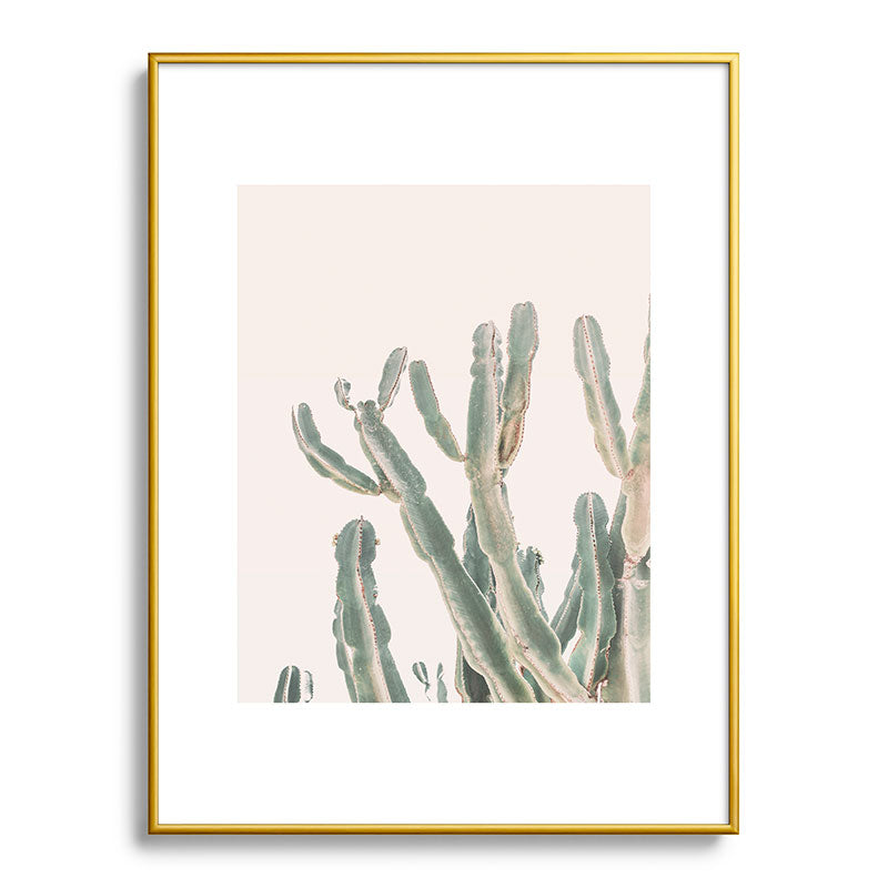 Sunrise Cactus Framed Art Print Gallery Image 92