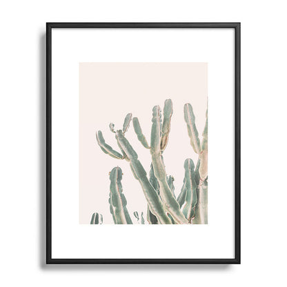 Sunrise Cactus Framed Art Print Gallery Image 81