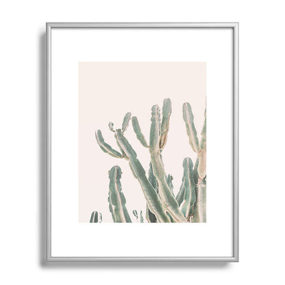 Sunrise Cactus Framed Art Print Gallery Image 96