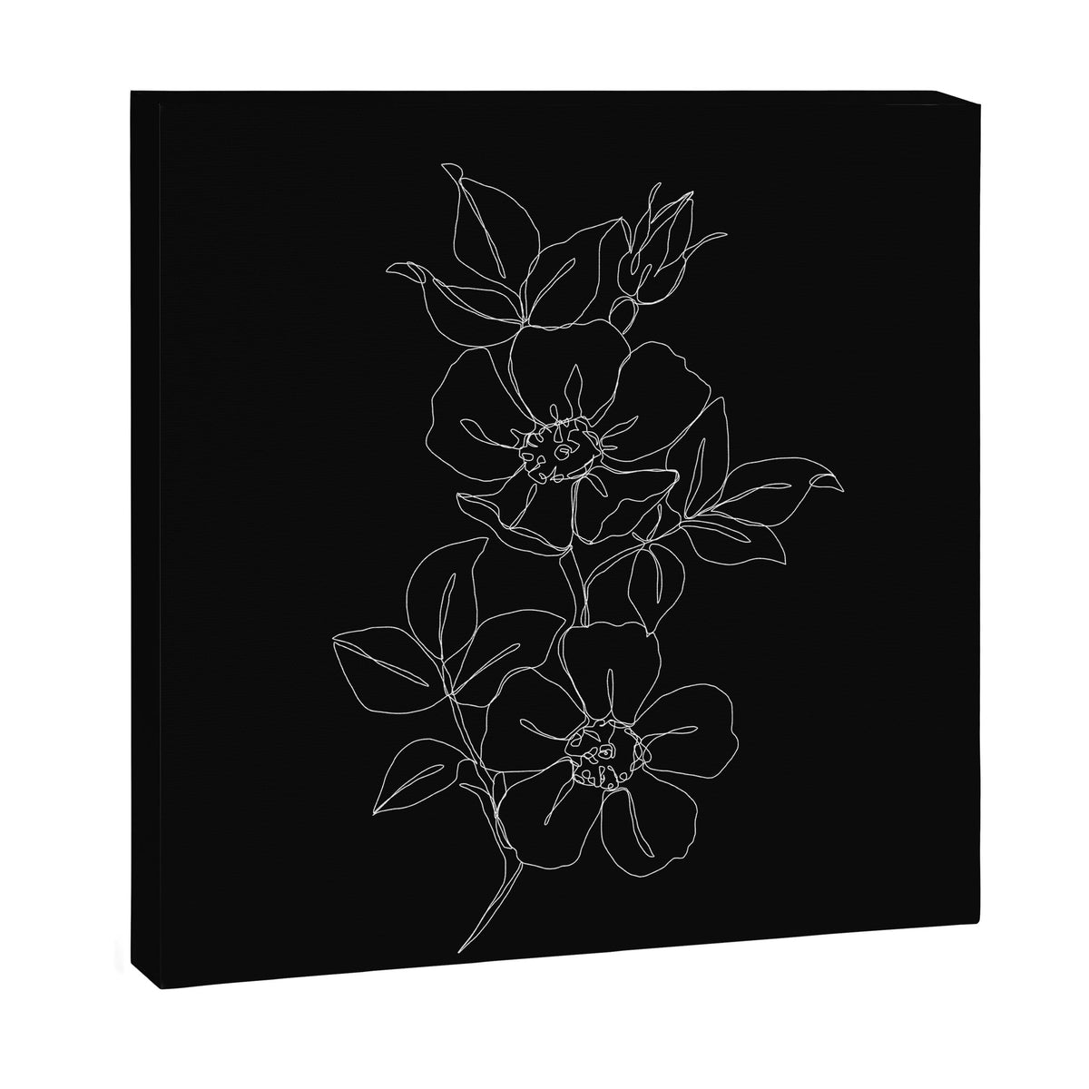Botanical illustration one line drawing - Rose Black Canvas Print Gallery Image 9