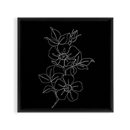 Botanical illustration one line drawing - Rose Black Framed Canvas Print Gallery Image 6