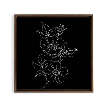 Botanical illustration one line drawing - Rose Black Framed Canvas Print Gallery Image 15