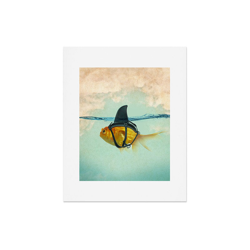 Brilliant DISGUISE - Goldfish with a Shark Fin Art Print Gallery Image 7