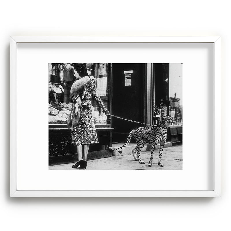Leopard on a Leash, Black and White Vintage Art Framed Art Print Gallery Image 78