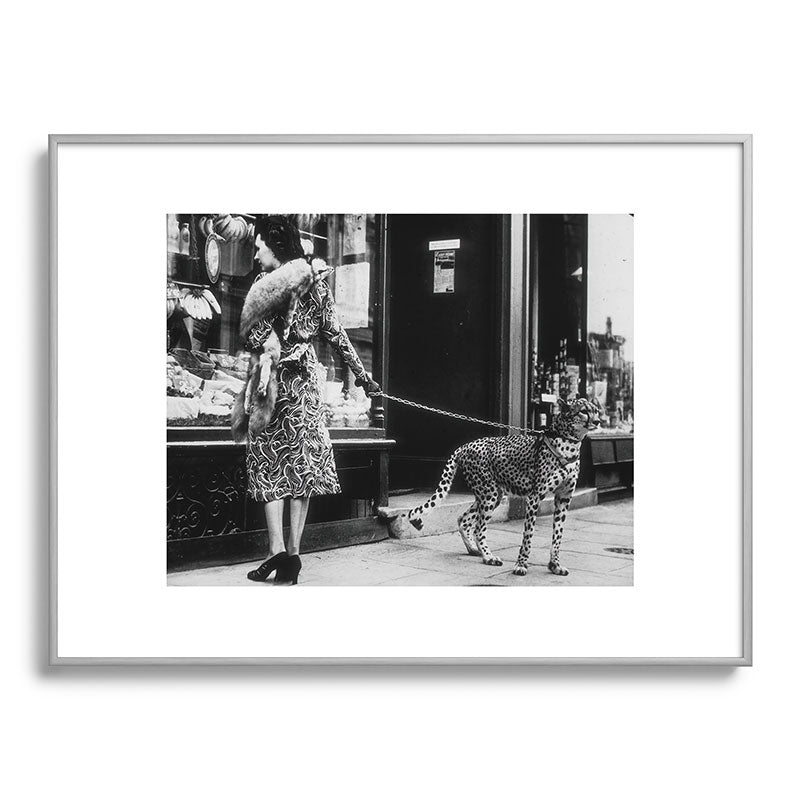 Leopard on a Leash, Black and White Vintage Art Framed Art Print Gallery Image 99