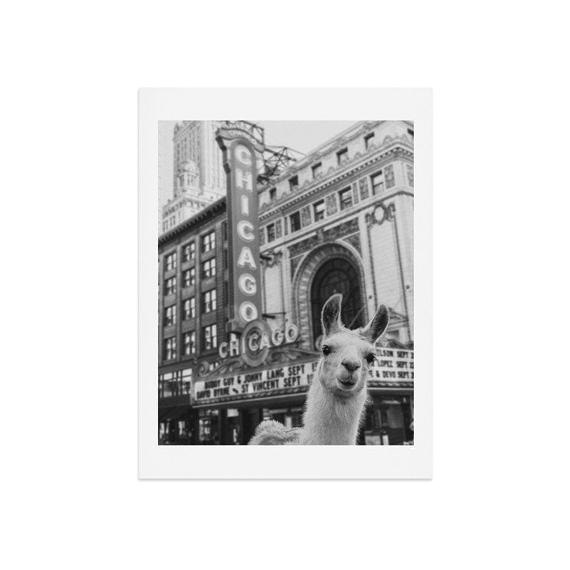 Chicago Llama Art Print Gallery Image 7